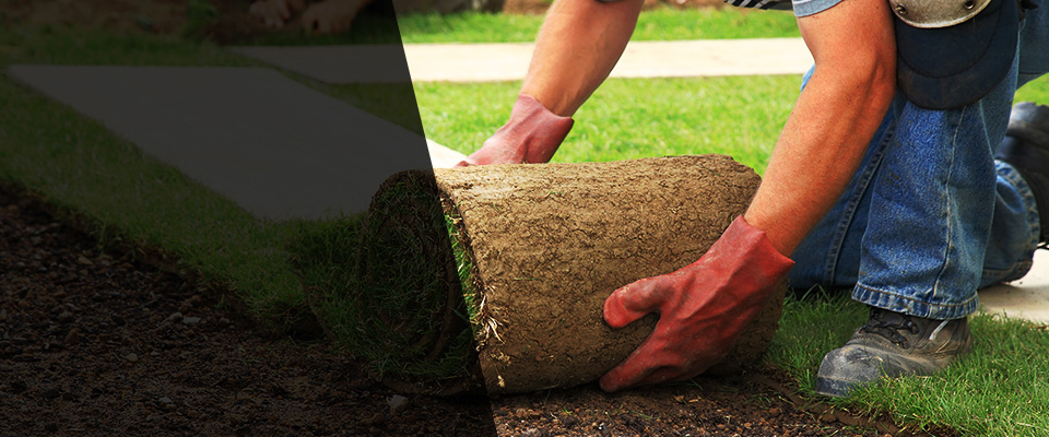 Staten Island Landscapers